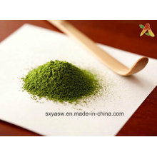 Shade Grown Steamed Green Tencha Poudre de thé vert Matcha